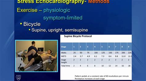 stress echocardiogram results|Guidelines for Performance, Interpretation, and Application of .